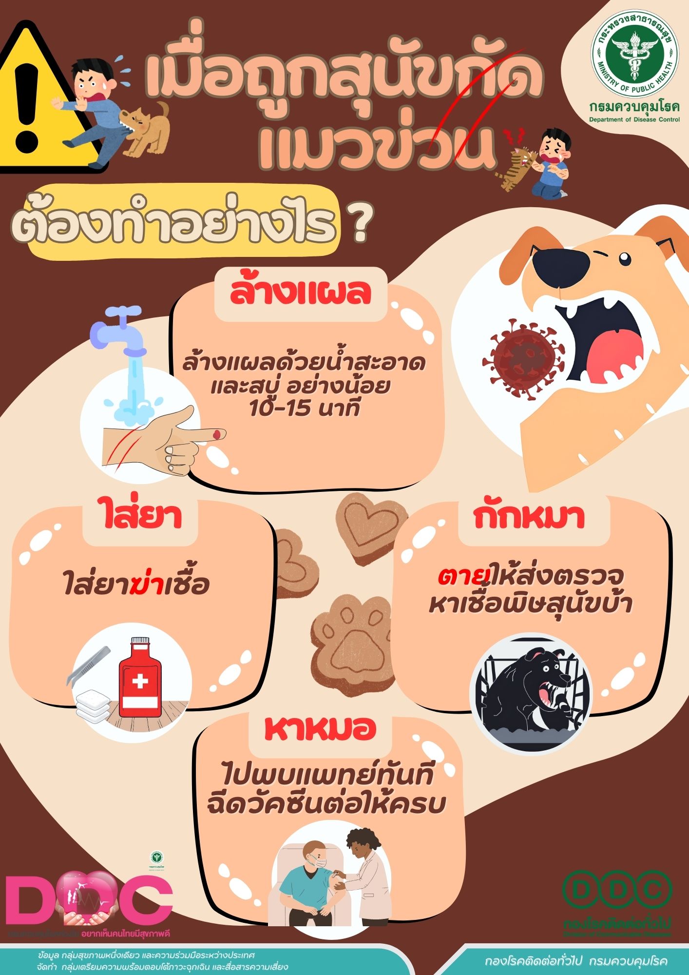 เมื่อถูกสุนัขกัดแมวข่วน ต้องทำอย่างไร ?